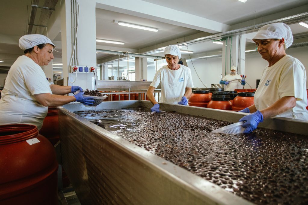 Greek Gold Oiven werden monatelang in Salzlake natürlich fermentiert.